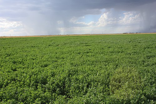 Property photo 72 - LAND AUCTION, 3255+/- Acres offered in 13 Tracts